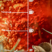 MHW-3BOMBER Glass Coffee Server